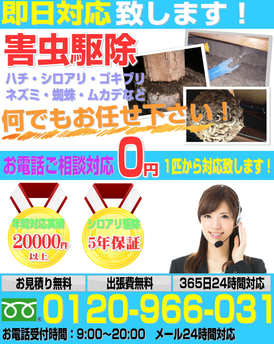 千代田区のシロアリ駆除なら1平米1200円より対応中！まずお気軽にお問い合わせ下さい！