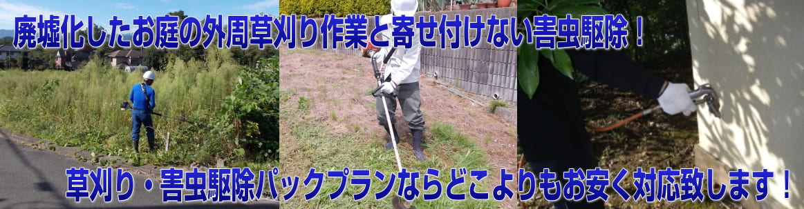 廃墟化したお庭の草刈り、寄せ付けない害虫駆除作業セットパック