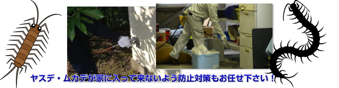 ムカデ ヤスデ駆除の費用 知識 作業内容 害虫駆除レスキュー