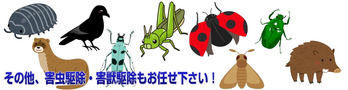 バッタ カミキリムシ ダンゴムシなどの駆除の費用 対策 害虫駆除レスキュー